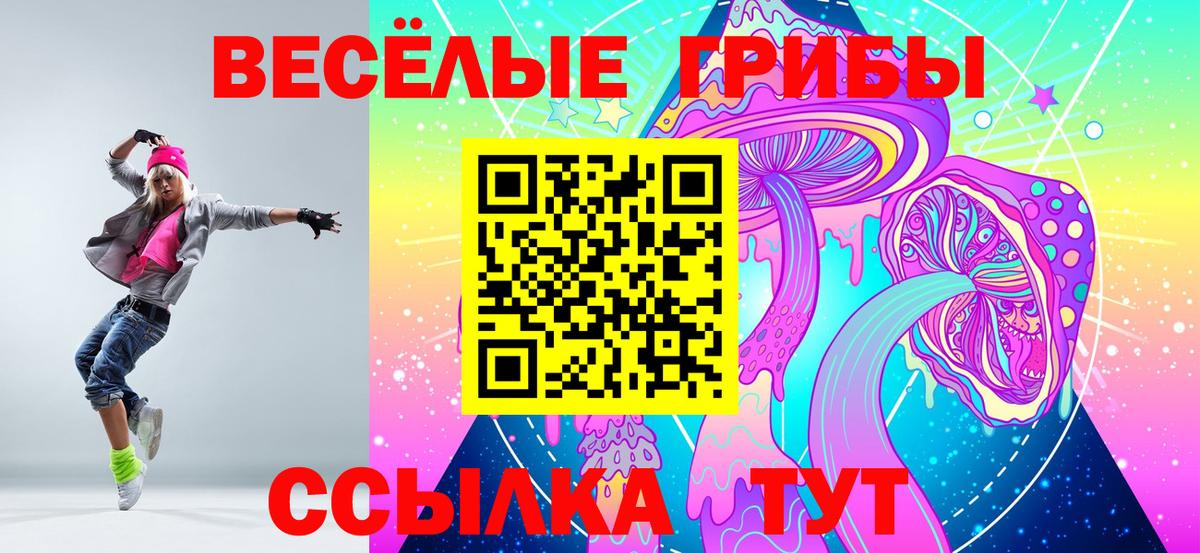 Псилоцибиновые грибы Cubensis  Вход с VPN  Новокубанск  Галлюциногенные грибы GOLDEN TEACHER 